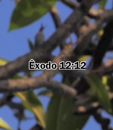 Êxodo 12:12