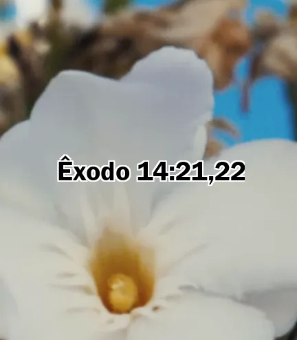 Êxodo 14:21,22