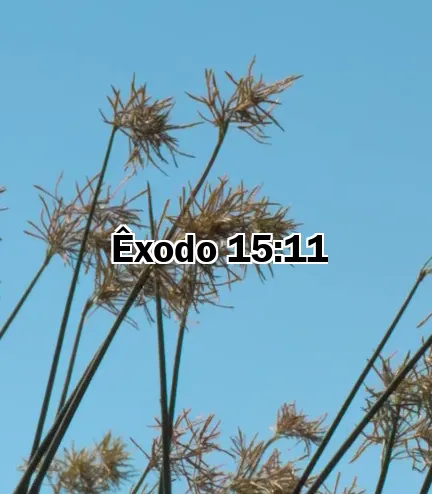 Êxodo 15:11