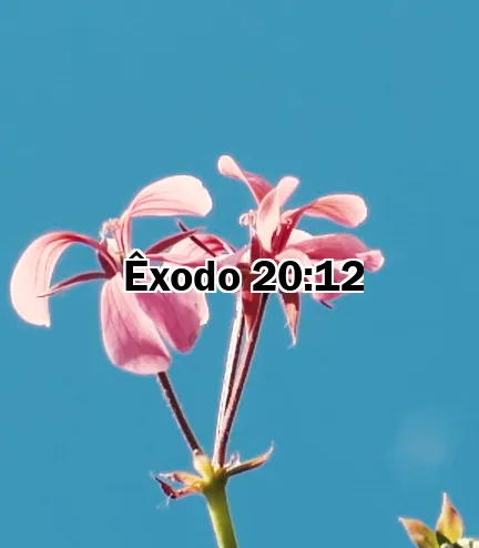 Êxodo 20:12