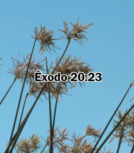 Êxodo 20:23