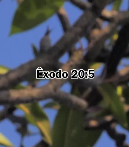 Êxodo 20:5