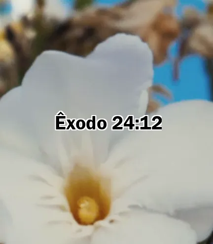 Êxodo 24:12