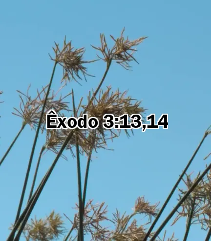 Êxodo 3:13,14