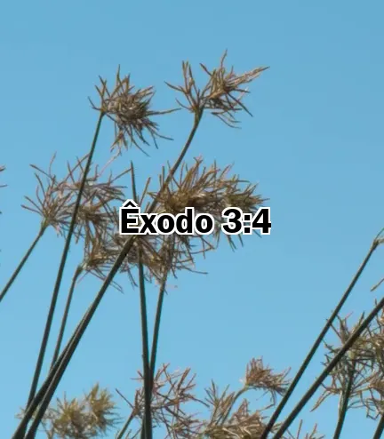 Êxodo 3:4