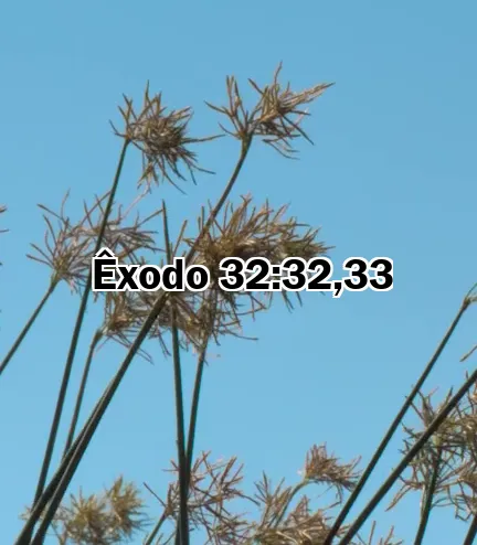 Êxodo 32:32,33