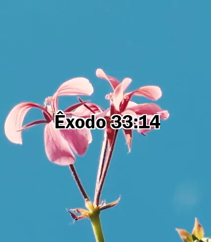 Êxodo 33:14