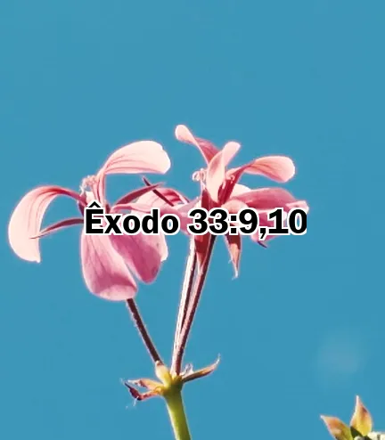 Êxodo 33:9,10