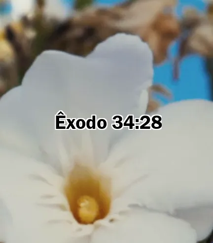 Êxodo 34:28