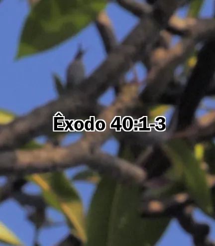 Êxodo 40:1-3