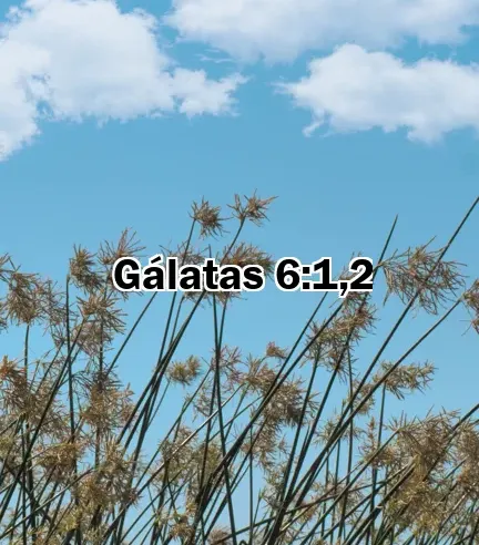 Gálatas 6:1,2