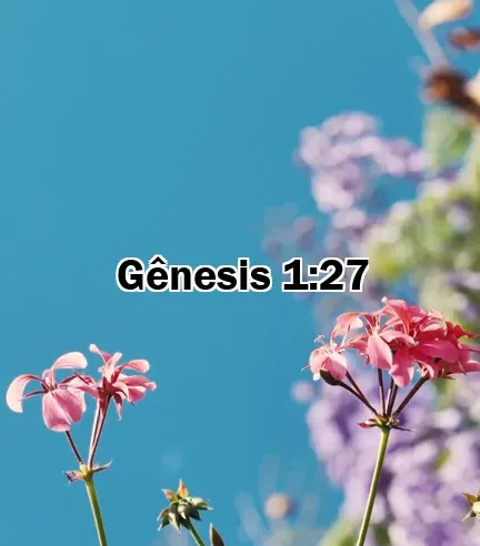 Gênesis 1:27