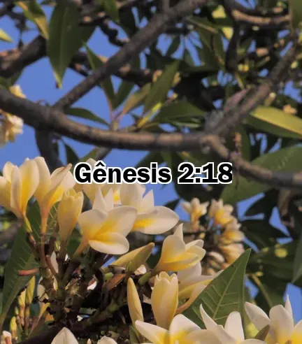 Gênesis 2:18