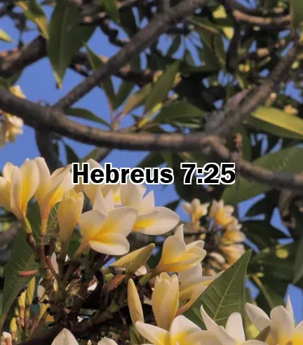 Hebreus 7:25