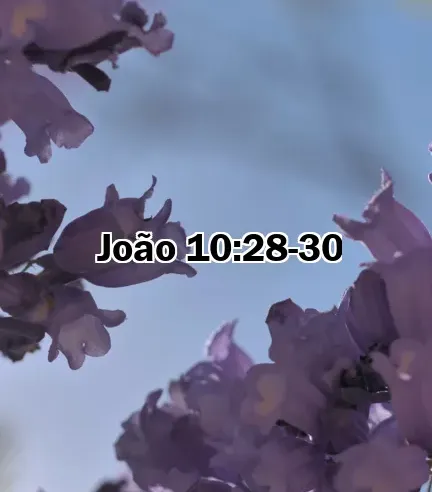 João 10:28-30