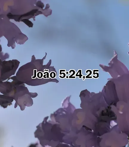 João 5:24,25