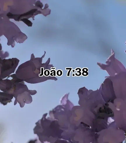 João 7:38