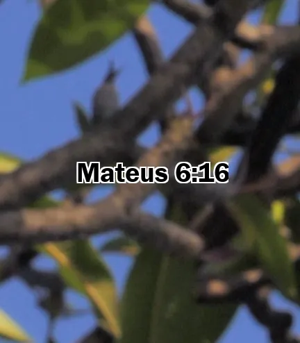 Mateus 6:16