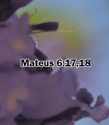 Mateus 6:17,18