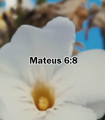 Mateus 6:8