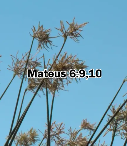 Mateus 6:9,10