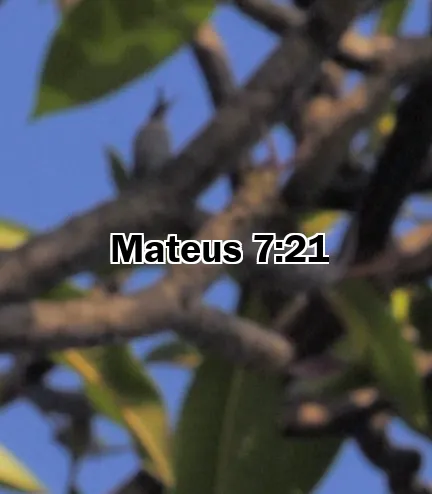 Mateus 7:21