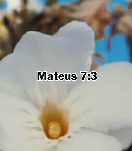 Mateus 7:3