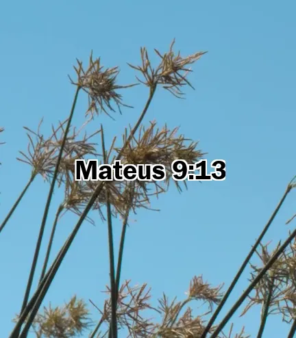 Mateus 9:13