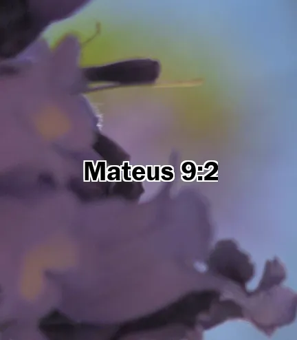 Mateus 9:2