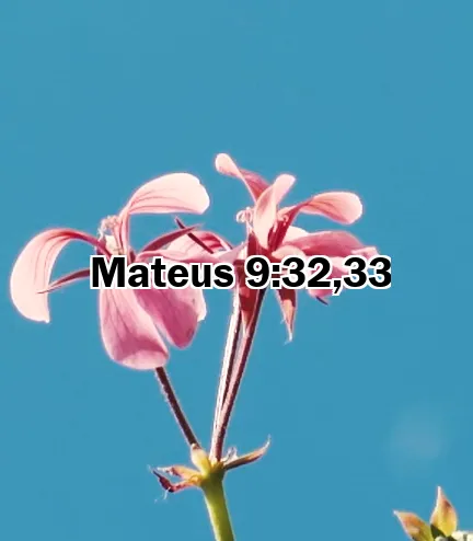 Mateus 9:32,33