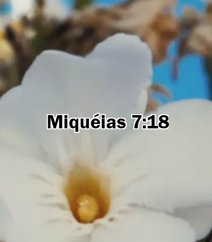 Miquéias 7:18