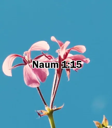 Naum 1:15