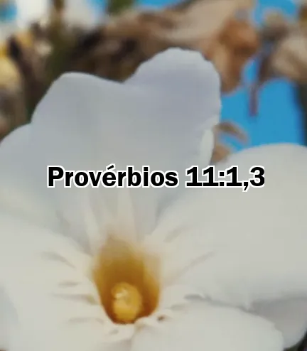 Provérbios 11:1,3