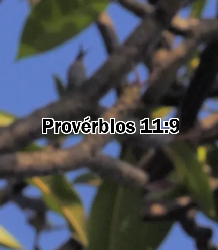 Provérbios 11:9