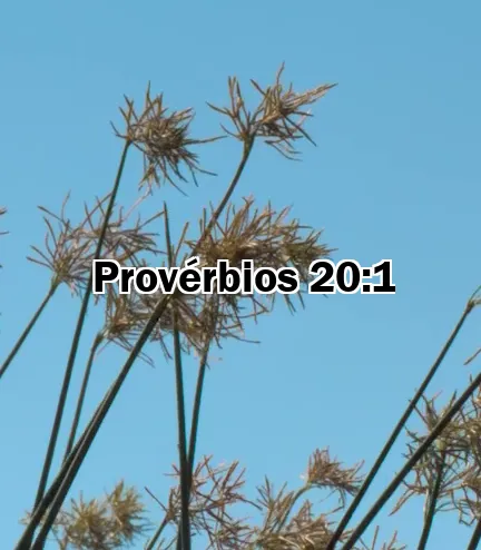 Provérbios 20:1