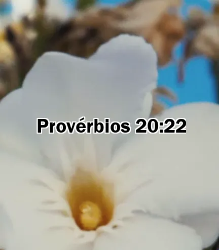 Provérbios 20:22