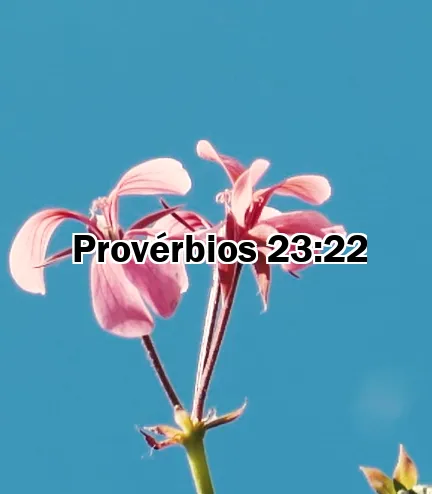 Provérbios 23:22