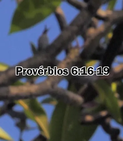 Provérbios 6:16-19