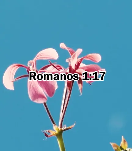 Romanos 1:17