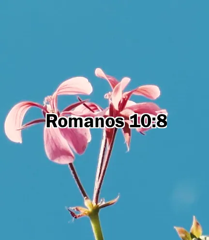 Romanos 10:8