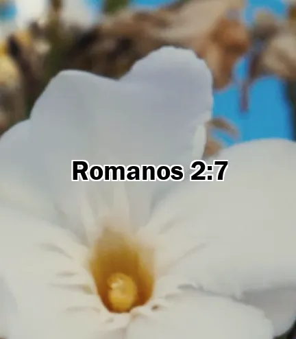 Romanos 2:7