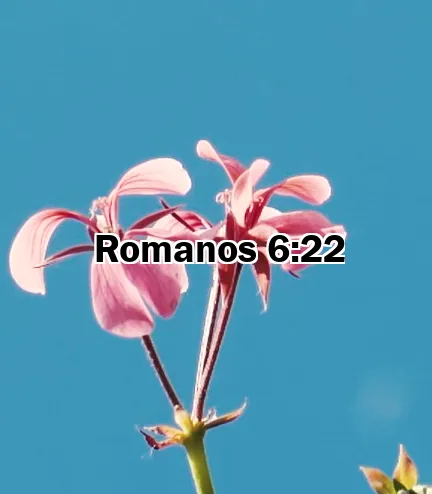 Romanos 6:22