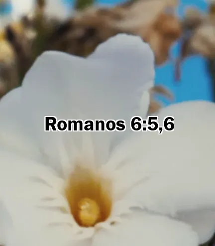 Romanos 6:5,6