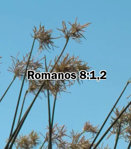 Romanos 8:1,2