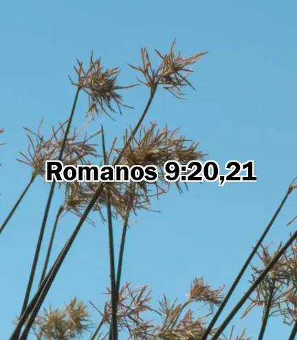 Romanos 9:20,21