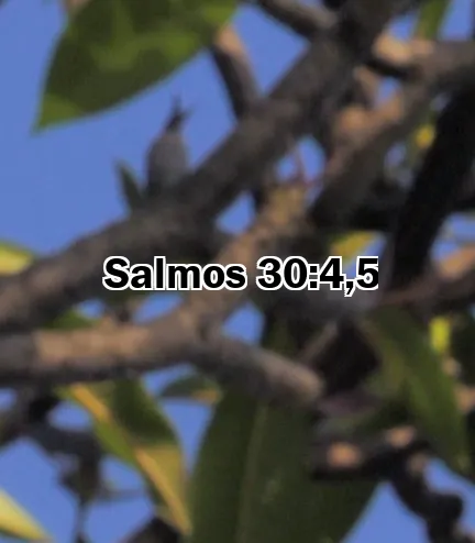 Salmos 30:4,5