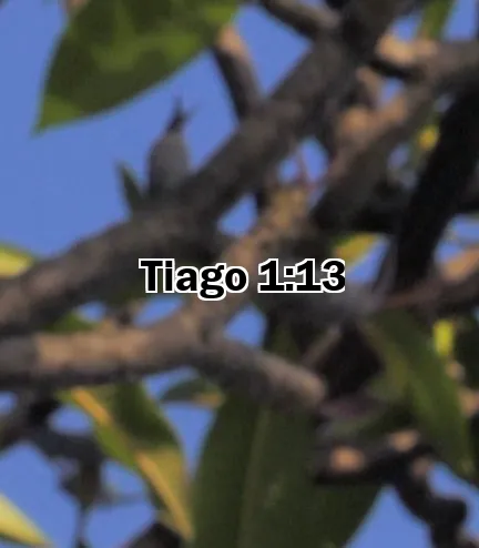 Tiago 1:13