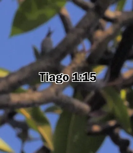 Tiago 1:15