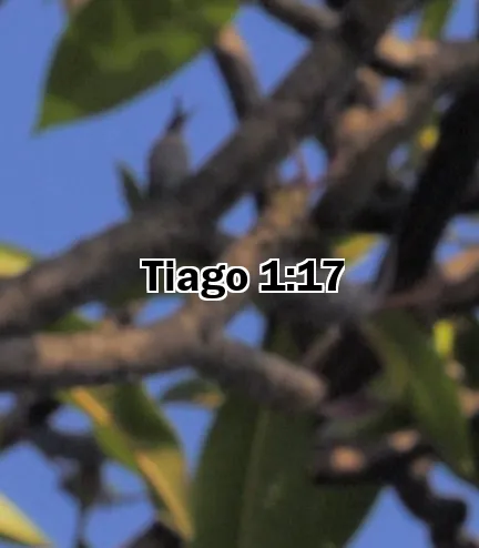 Tiago 1:17