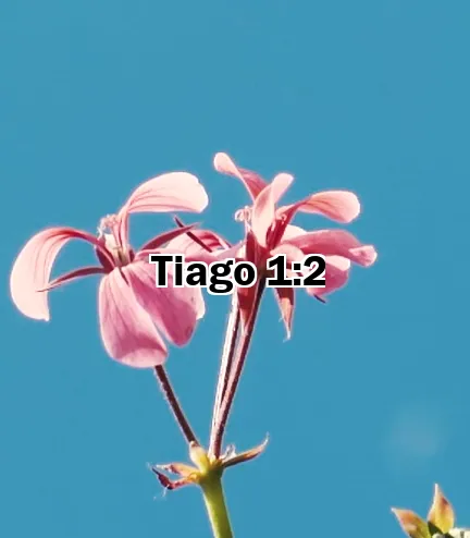 Tiago 1:2